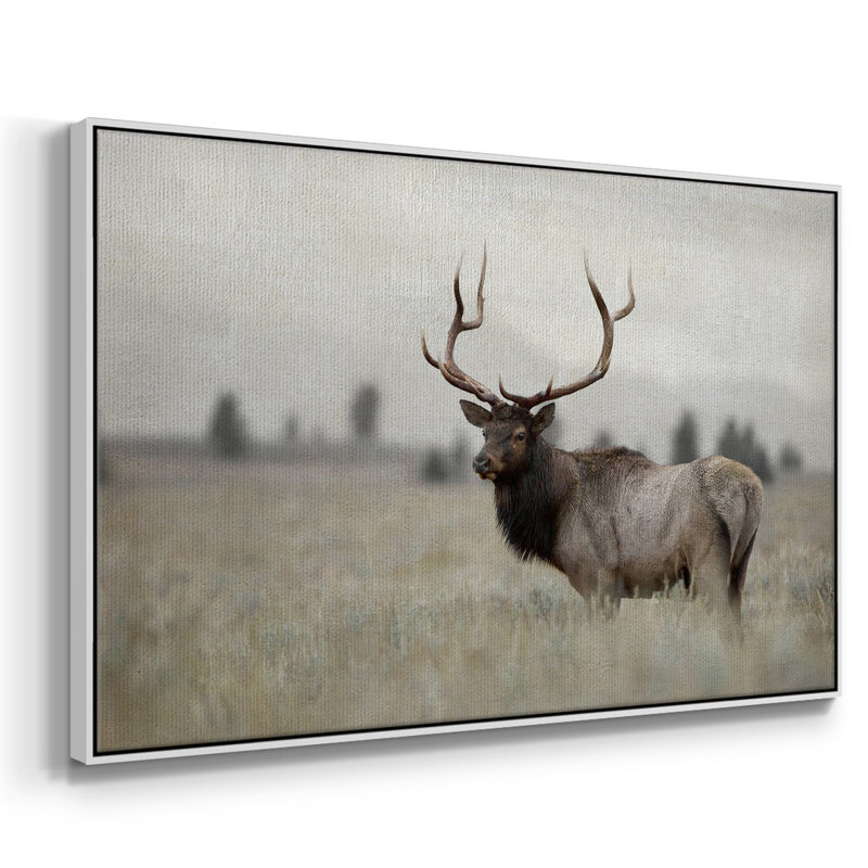 Grand élan encadré sur toile, Blanc, H 25 po x l 37 po x P 2 po