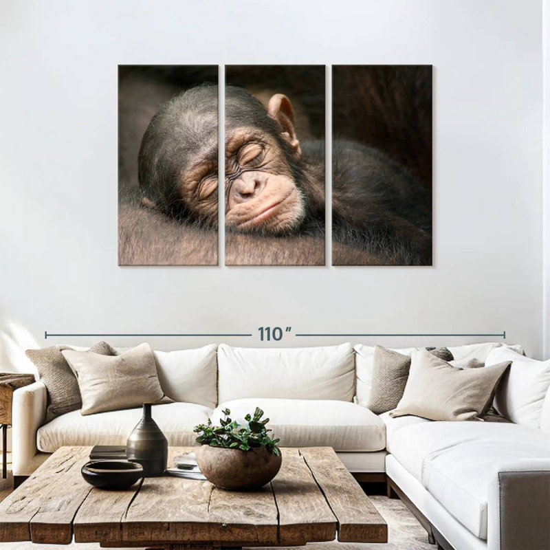 Brampt Sleeping Baby Chimpanzee, 48" H x 74" W