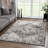 Oriental Indoor Rug-70086060