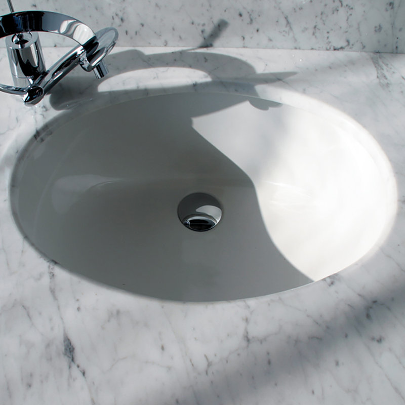 Euro 19.5'' L Bathroom Sink