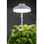 Plant Grow Lamp White