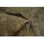 Tapis traditionnel beige en soie Timeless 7x7
