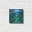 «Sunny Sea Reflections» par Silvia Vassileva-665793221