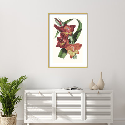 Tropicals II by Cleasta Wood Framed Wall Art Print