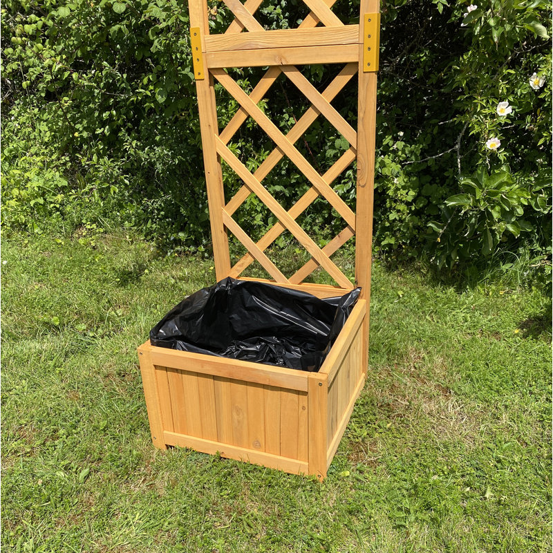 Eradu 160cm H x 40cm W Wood
