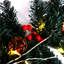 270cm Lighted Faux Garland with Lights