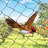 Crop Orchard Net Bird Netting-1946890529