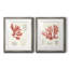 Vintage Coral Study III - Ensemble de 2 reproductions de cadres photo sur toile