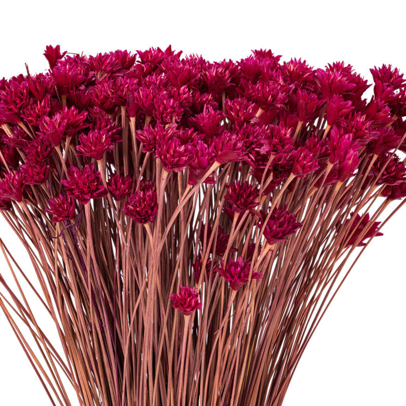 Bouquet de 14 po Hil Natural, Rose