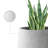 Khoi Pot Planter-824030225