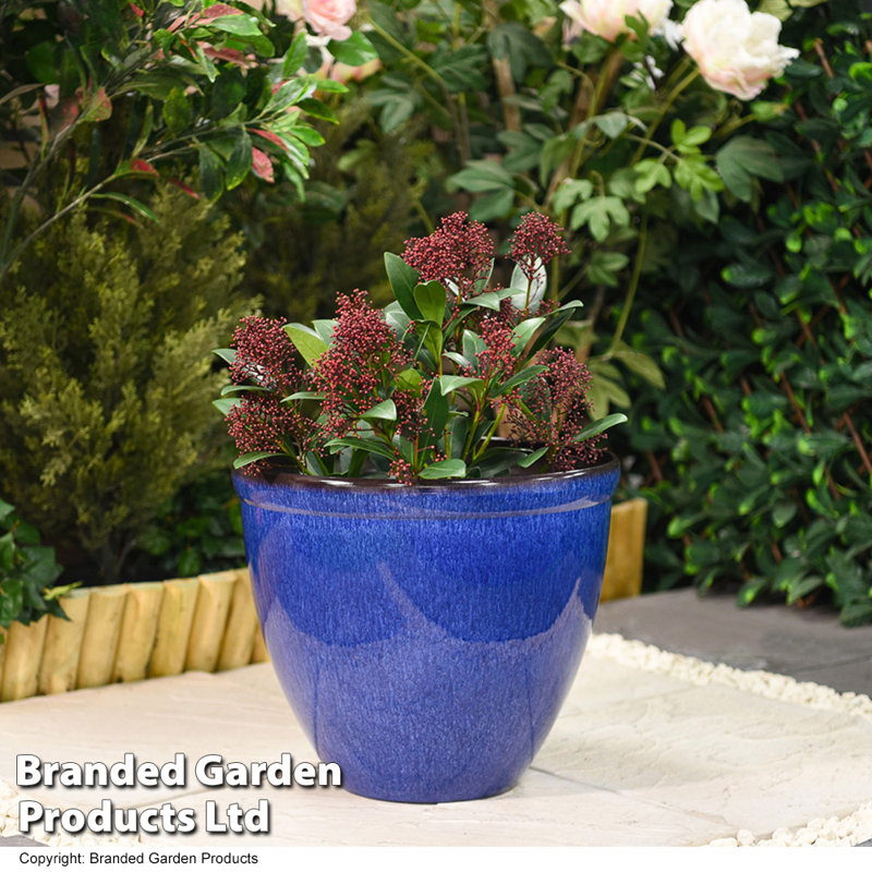 Pot Planter