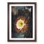 Blooming Cacti by R.J. Thornton - Picture Frame Painting Print-55544574-55544571
