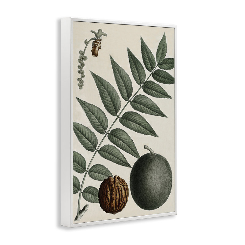 Giclée sur bois de noyer et de feuilles rétro par Graffi *ee Studios, H 18 po x l 12 po