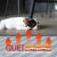 Tapis chauffant pour plancher QuietWarmth 240V-20869685