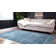 Candra Oriental Indoor Rug