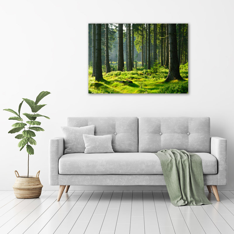Spruce Forest - No Frame Print on Glass
