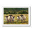 Babsy Sheep Family I - Painting-1599097632-1599097662