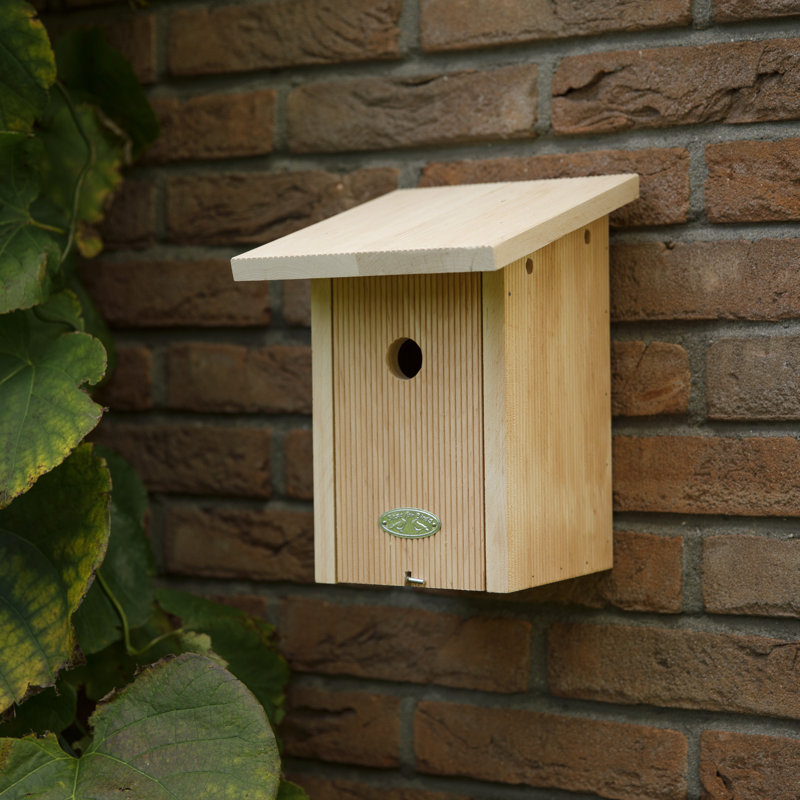Bird House Blue Tit in Giftbox Fsc 100%