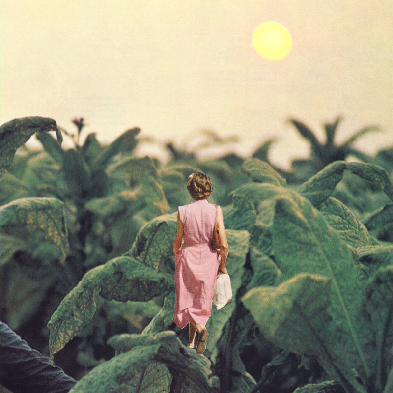 «Walking Into Leaves» - impression, H 36 po x l 36 po, Non, Toile tendue