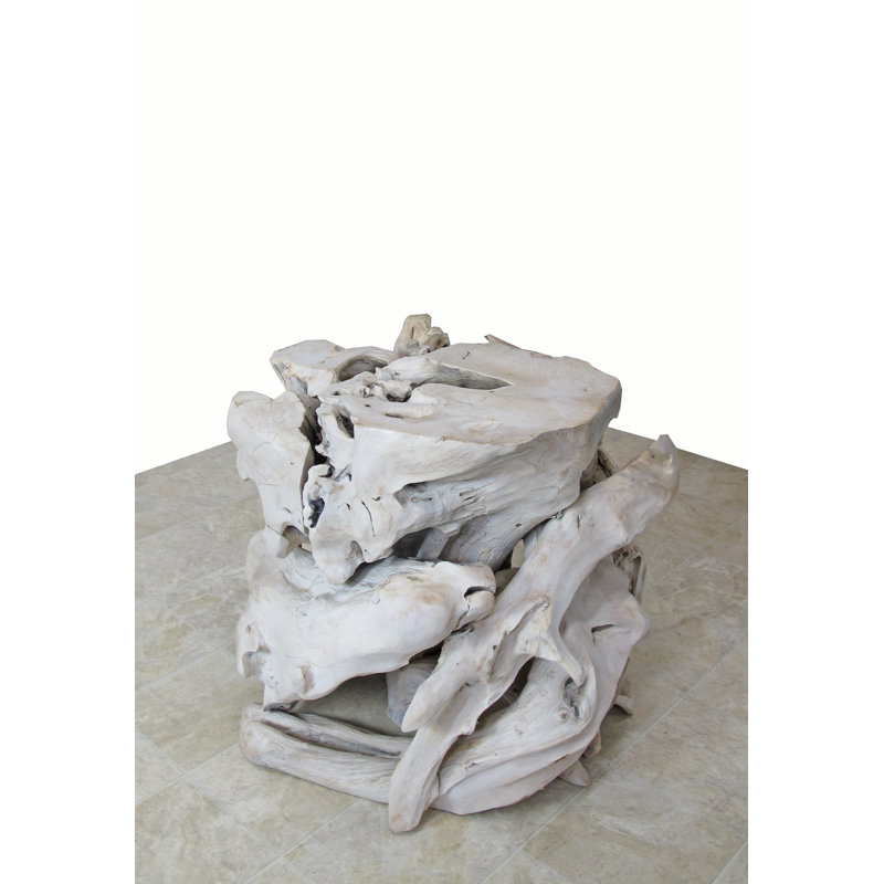 Teak Root Sculpture