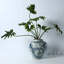 Fyke Porcelain Table Vase