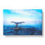 Whale Tail from the Ocean - Wrapped Canvas-56641684