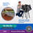 Polyester Pet Bed-66051685-66051683