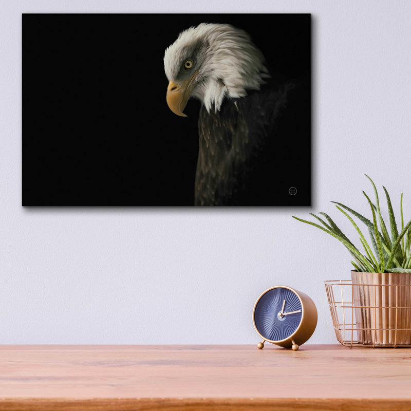 «Eagle Bow» par Nathan Larson, H 12 po x l 16 po x P 0,13 po