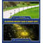Solar Powered Integrated LED Pathway Light Pack