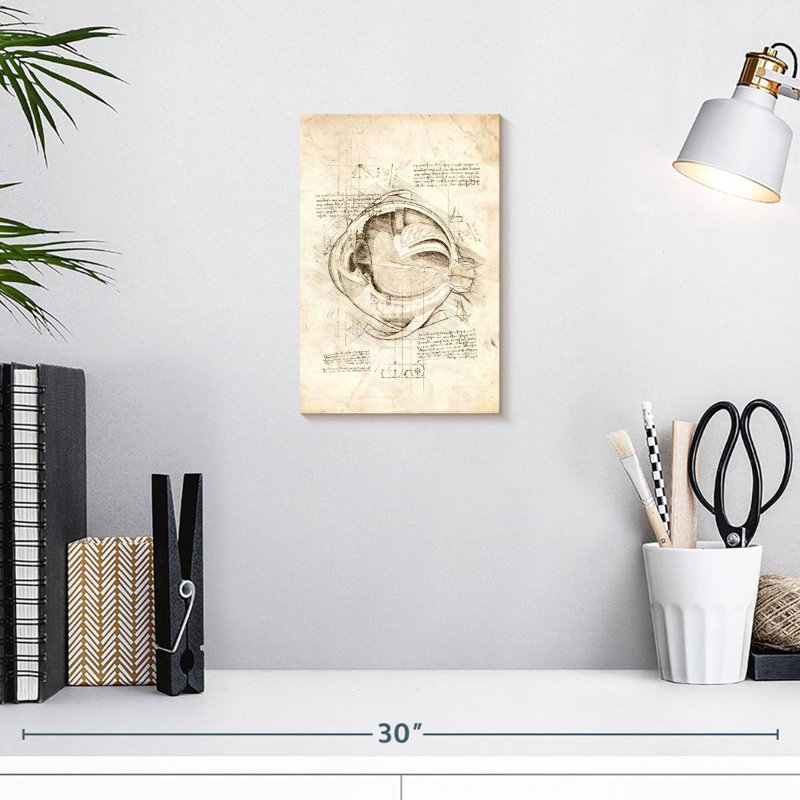 Keiri Human Eye Anatomy, 12" H x 8" W