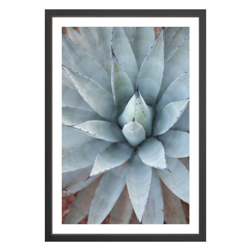 Plants & Flowers Print, Black, 36" H x 24" W x 1.88" D