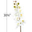 Pulvérisateur en faux orchidée phalaenopsis-190220914