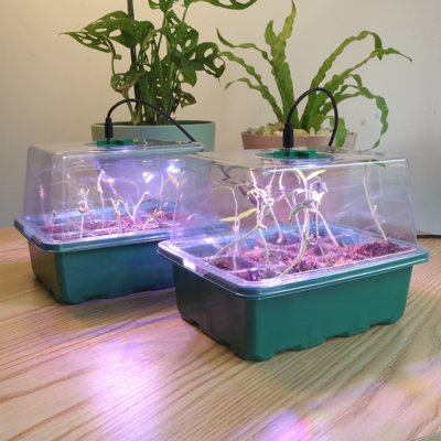 5 Packs Seed Starter Tray with Grow Light