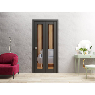 Lucia Clear Glass Sliding Closet Bi-fold Black Doors