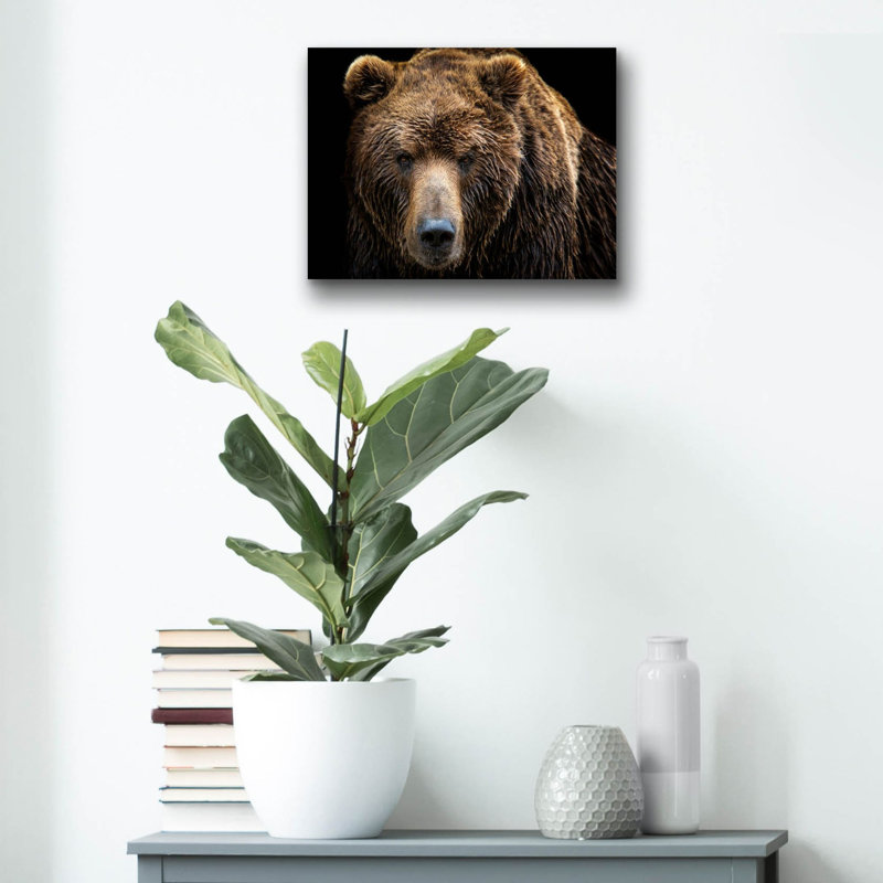 «Brown Bear» par Epic Portfolio, art mural en verre acrylique, H 12 po x l 16 po x P 0,13 po