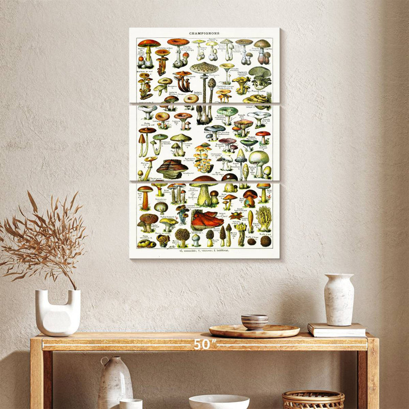 Yarlin Mushroom Varieties, 38" H x 24" W