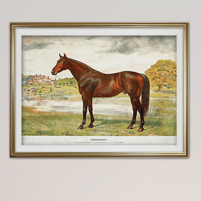« équin sketch xxvii », impression, Cadre doré