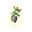 Finch On Flower Of The Banana Print by Porter Design-26924046-26924051