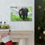 No Frame Print on Canvas-1538426979