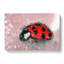 Red Ladybird Insect On A Pink Petal In Abstract - Wrapped Canvas Painting-55338638