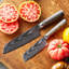 Bobby Flay by GreenPan Stainless Steel 2pc Santoku Knife Set