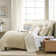 DKNY Pure Velvet Quilt Set Birch
