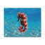 Art mural majestueux hippocampe