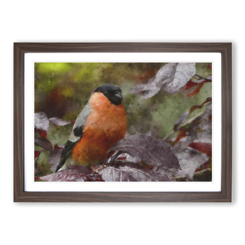Bullfinch Bird - Picture Frame Painting, 27cm H x 36cm W x 2cm D, Walnut Framed