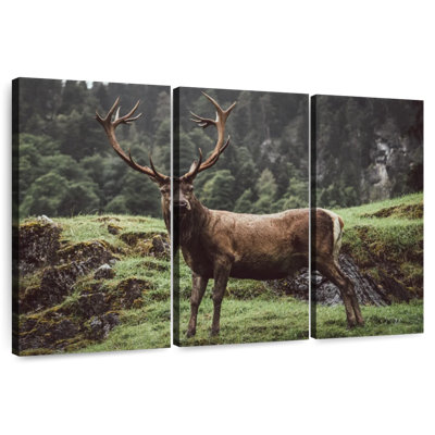 Brampt Majestic Mountain Deer