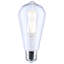 8 Watt (70 Watt Equivalent), ST19 LED, Dimmable Light Bulb, E26/Medium (Standard) Base-72491927