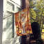 Chat en feuilles d'automne-112700472
