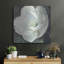 «Magnolia III Sage» par Carol Rowan-1295411349