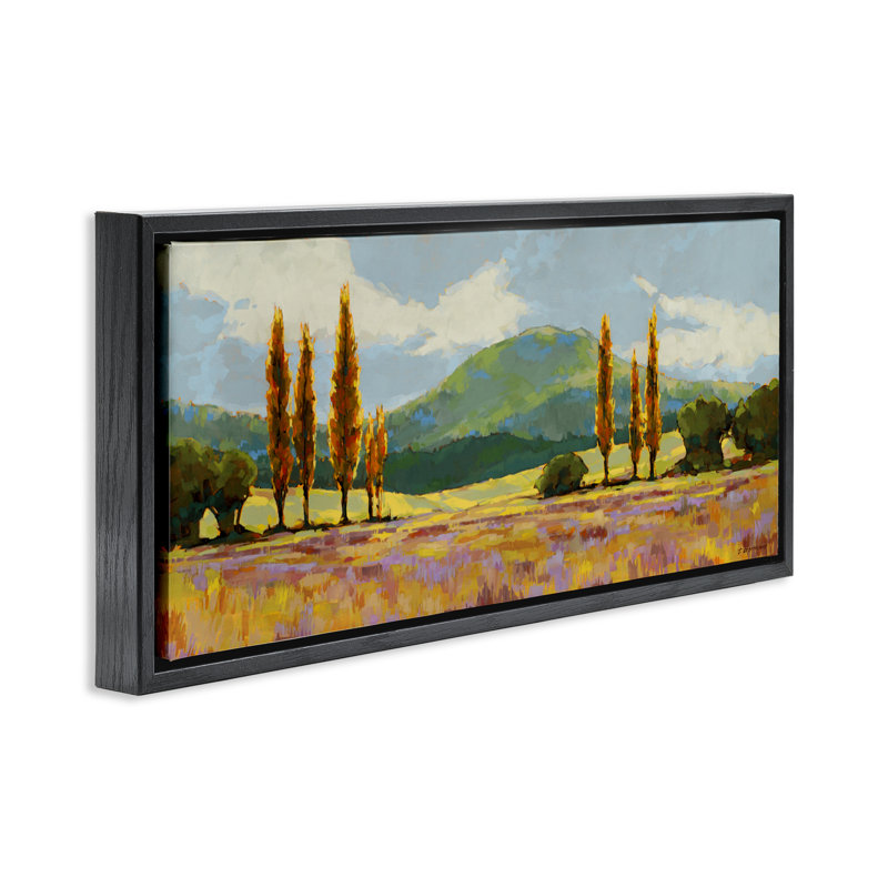 Cadre campagne avec pastel flottant pastel, design par Trevor Copenhaver, H 14 po x l 31 po, Cadre flottant noir de jais