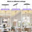 1 - Light Gold Novelty Pendant